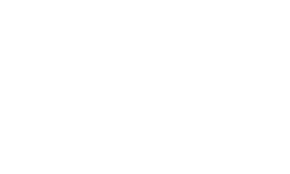 Twinsaver logo - NxGN Solutions client